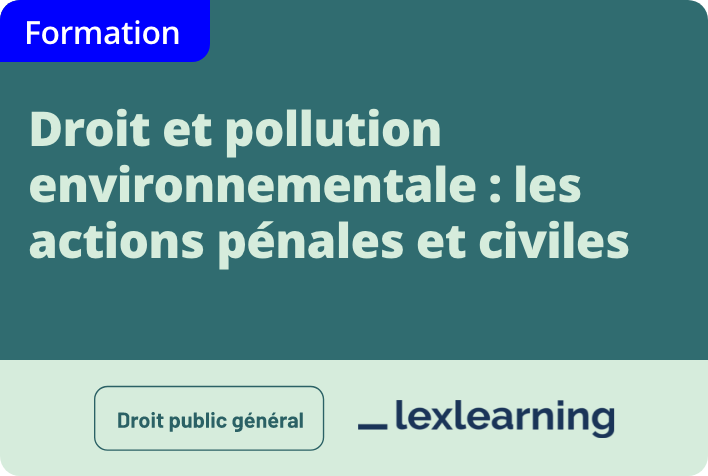 Droit et pollution environnementale : les actions pénales et civiles 